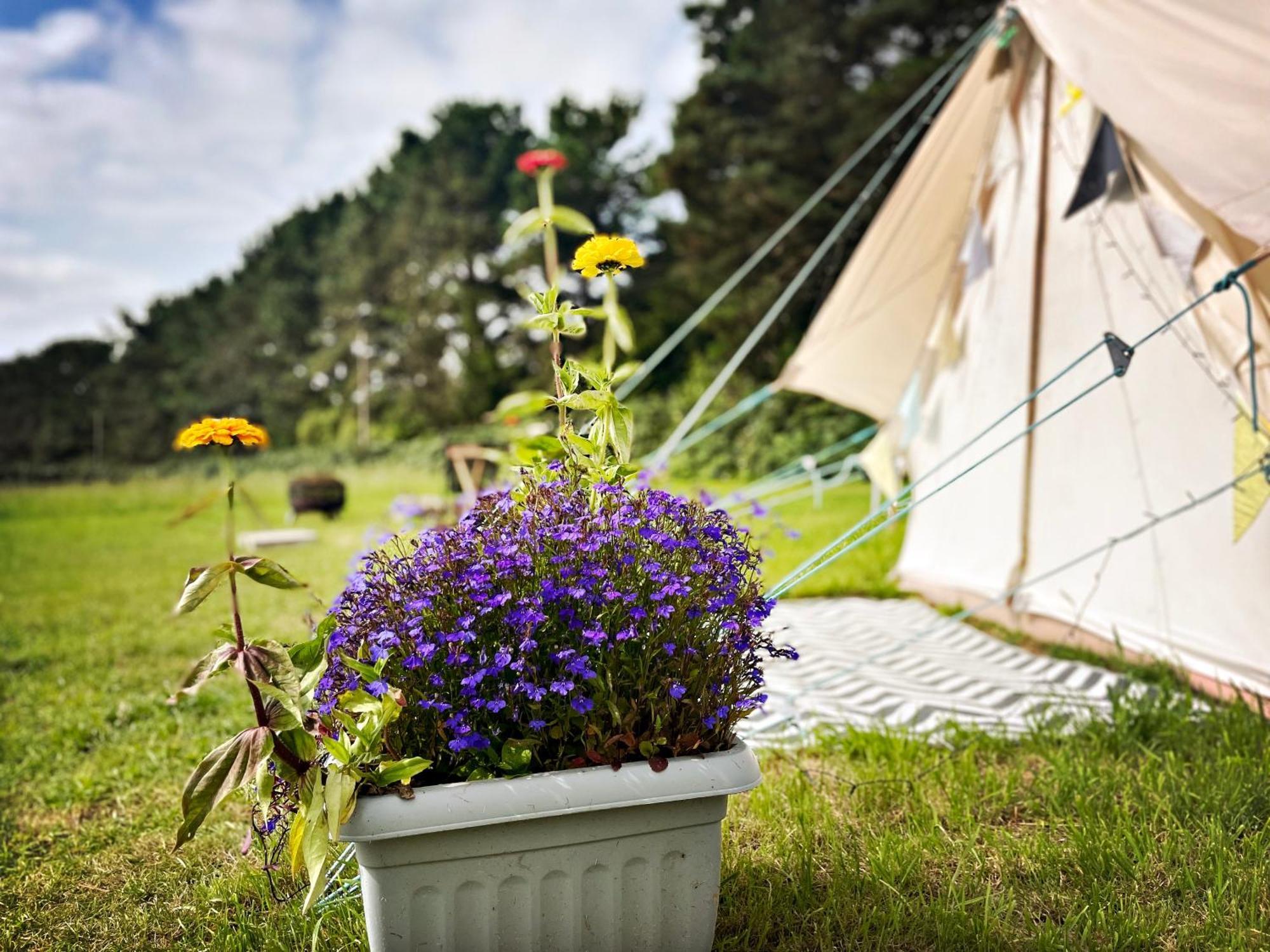 Trevena Cross Glamping & Camping Helston Kültér fotó